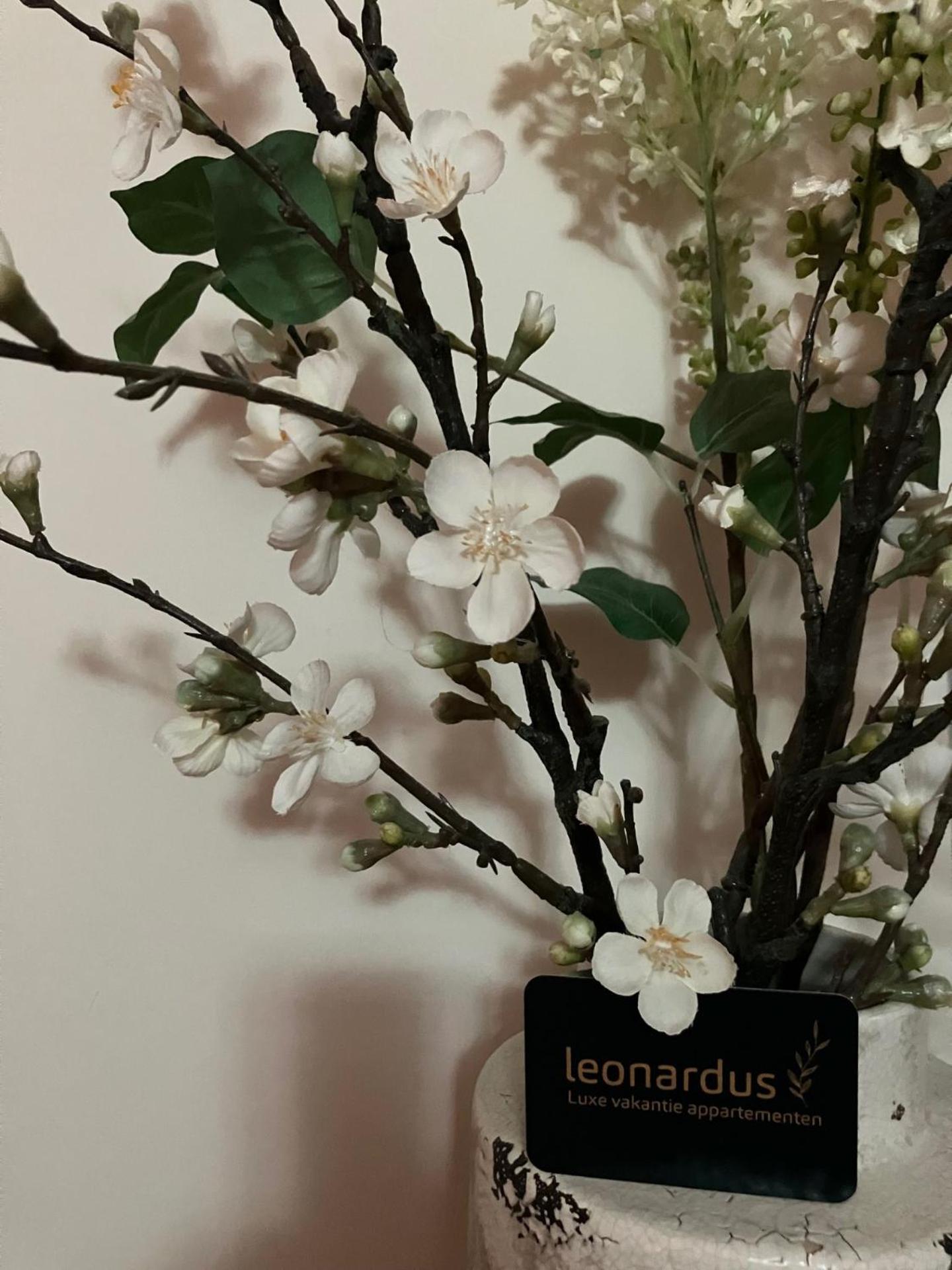 Luxe Appartementen Leonardus Valkenburg aan de Geul Bagian luar foto
